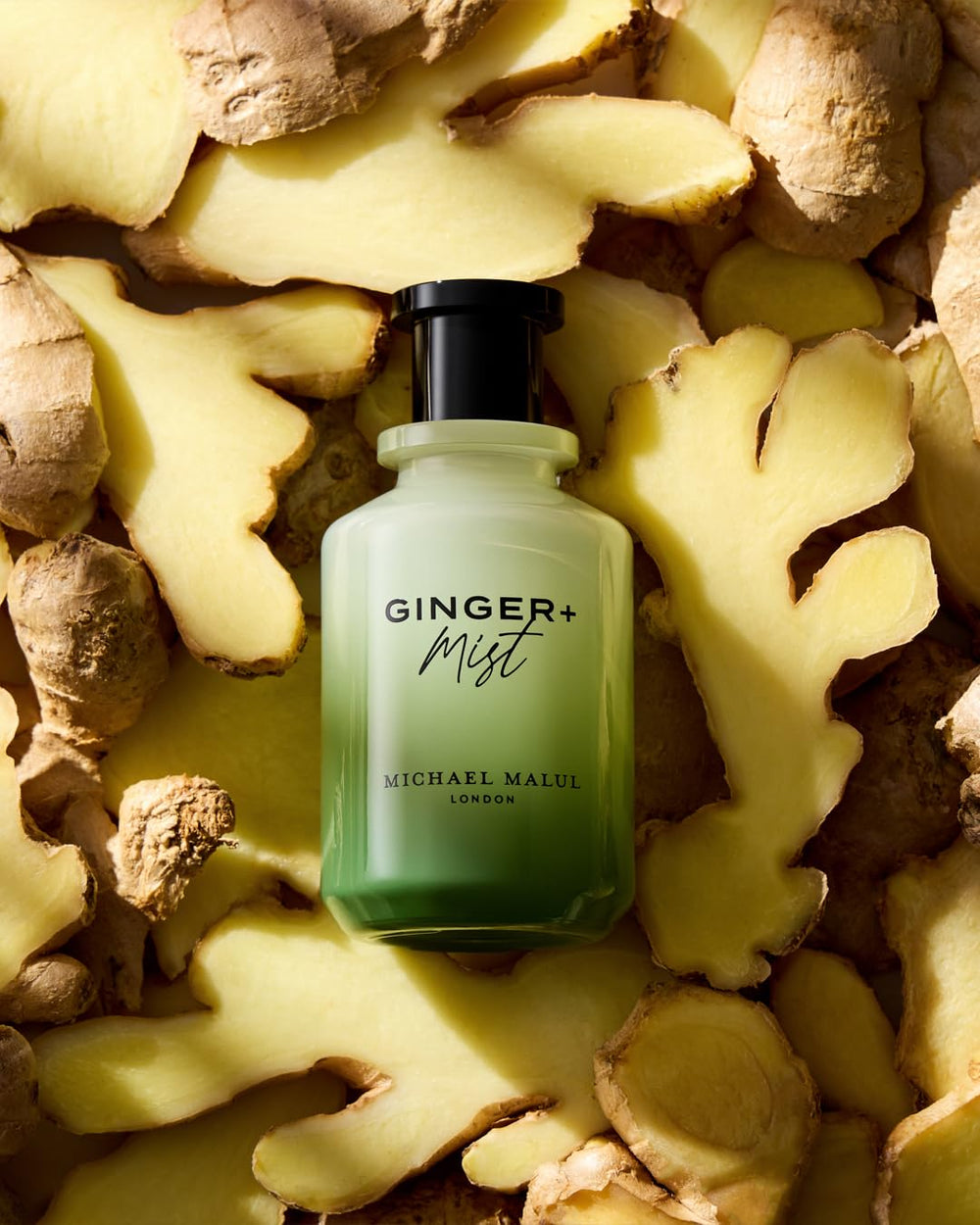 Michael Malul Ginger + Mist in evening wear with warm presence.