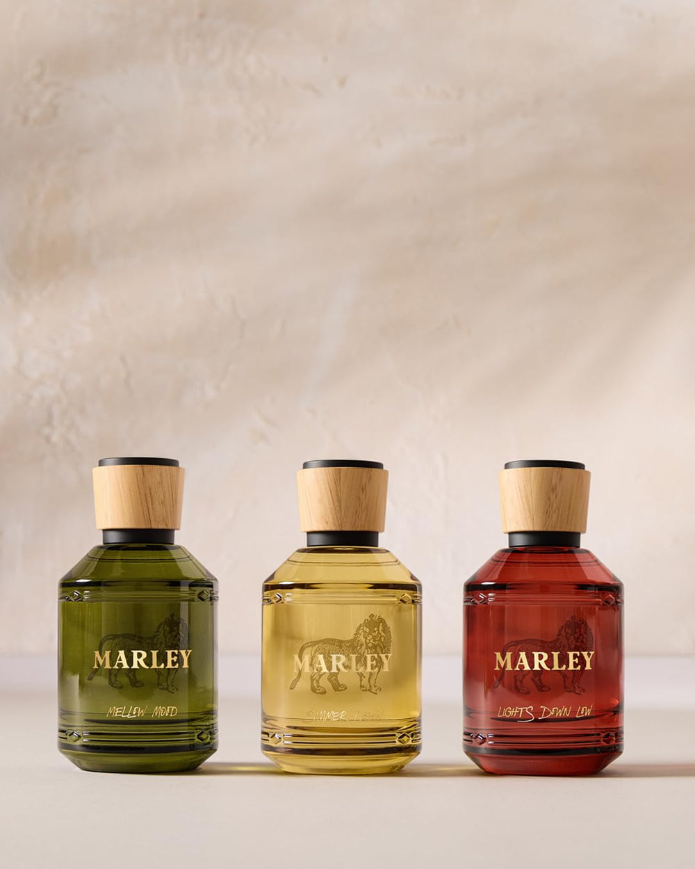 Michael Malul Lights Down Low packaging box on display for premium gifting appeal.