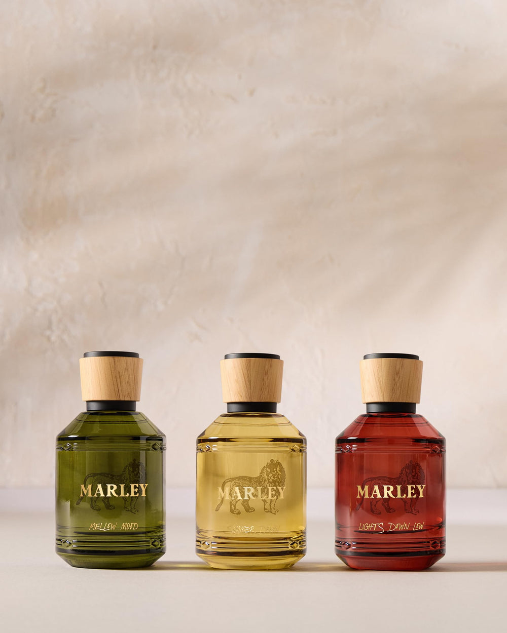Michael Malul Marley Simmer Down dramatic light emphasizes luxurious mood.