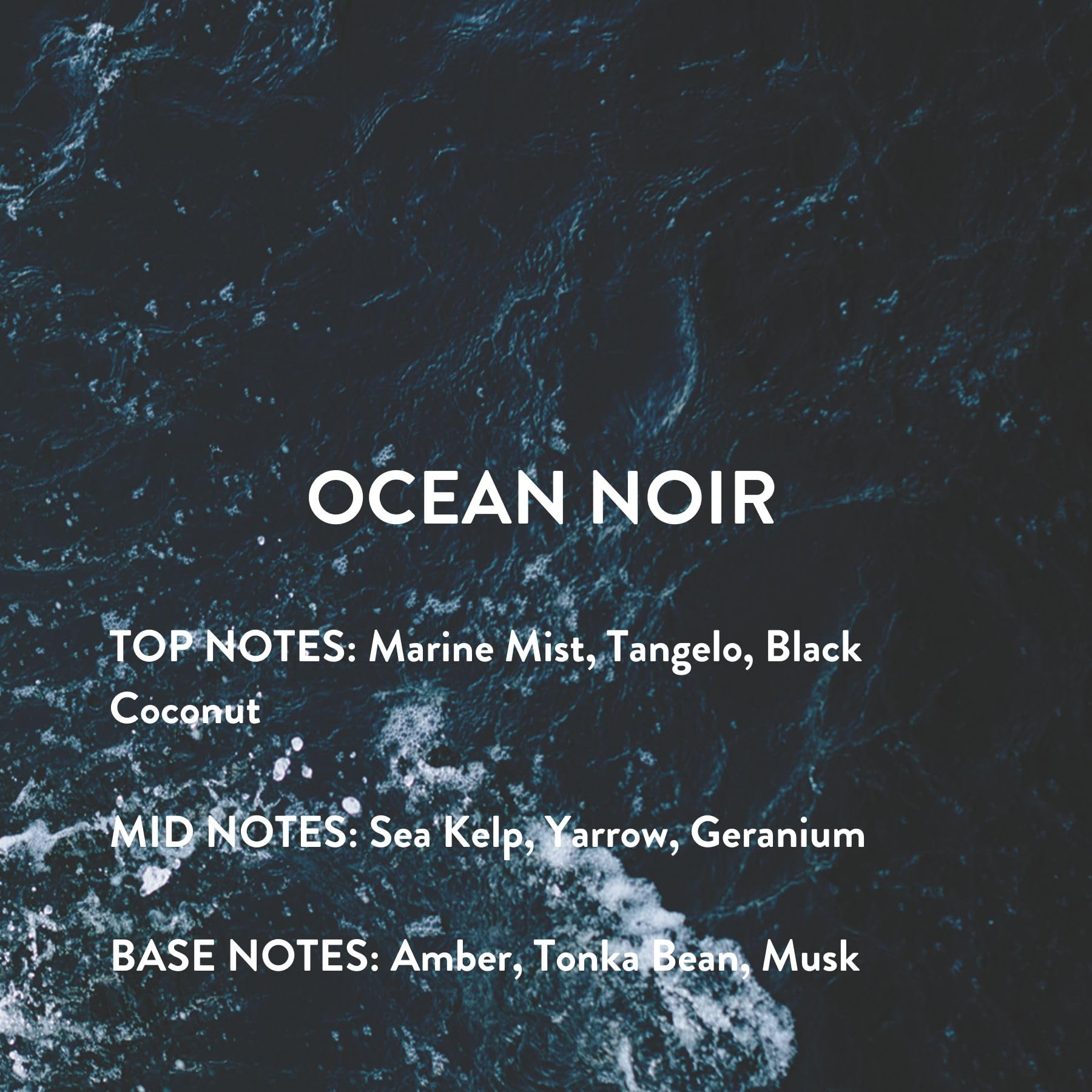 Michael Malul Ocean Noir packaging detail, premium finish enhances gifting appeal.