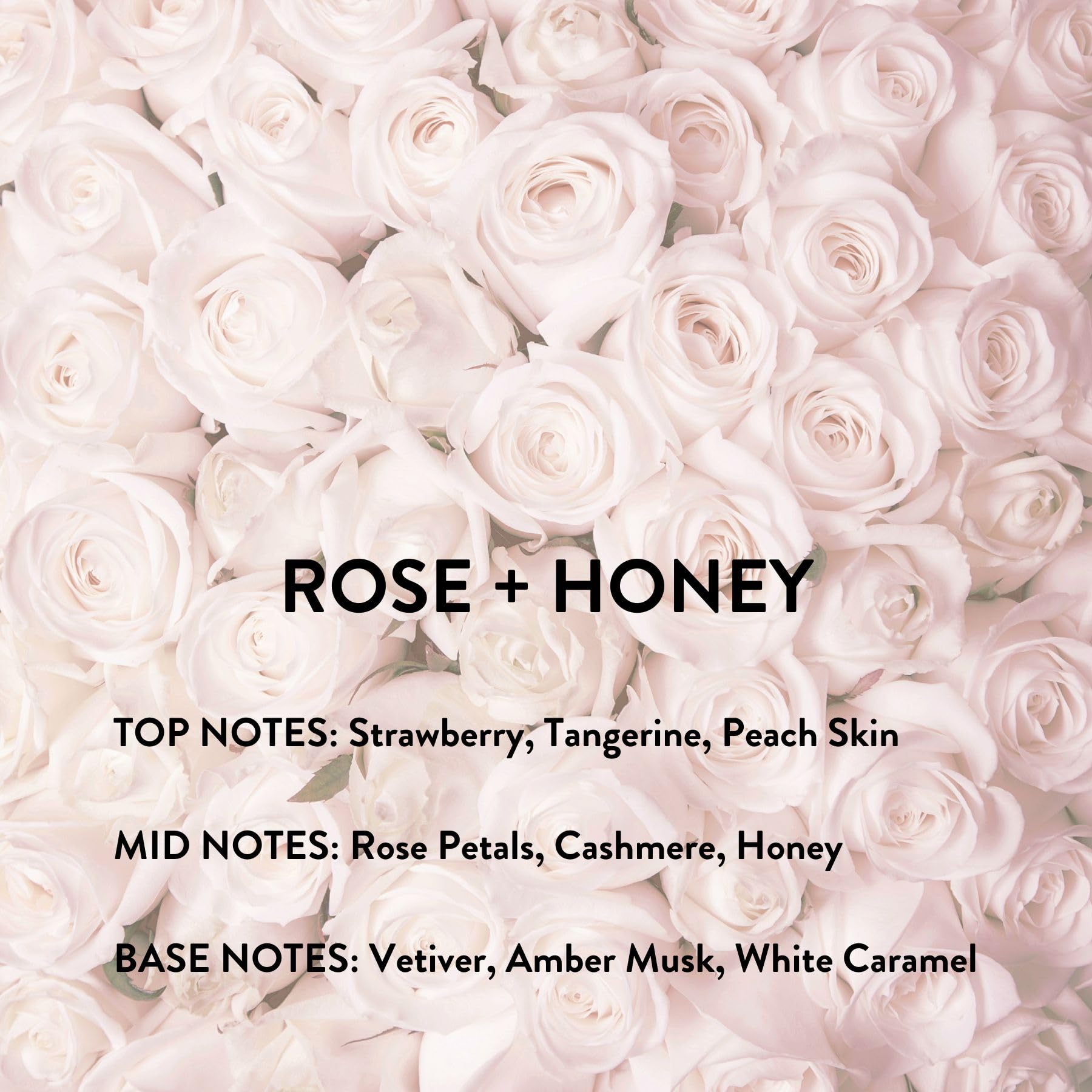 Michael Malul Rose and Honey EDP honey drops highlight sweetness
