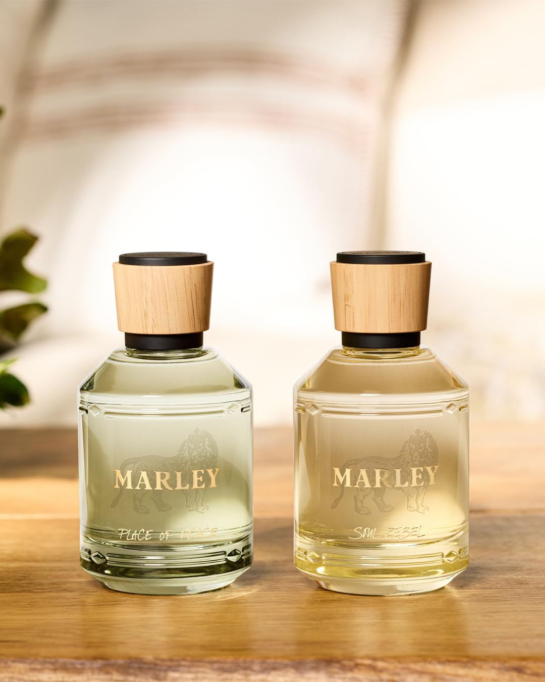 Michael Malul Soul Rebel nighttime wear suggestion, versatile scent.