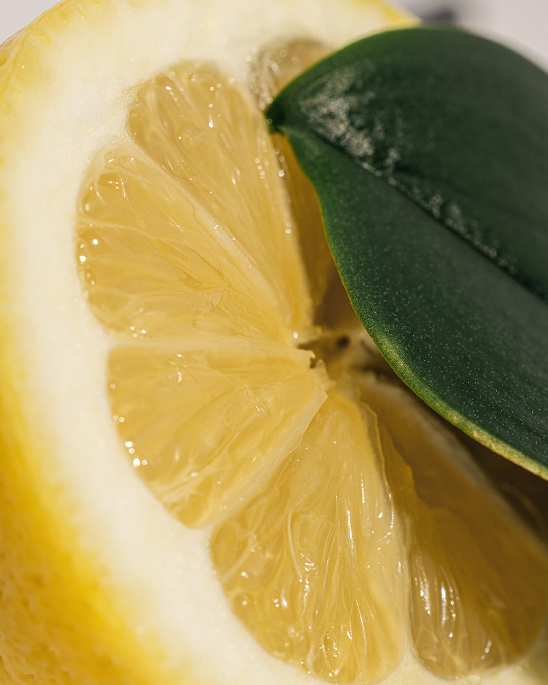 Vetiver emphasis anchors the scent with sophisticated depth.