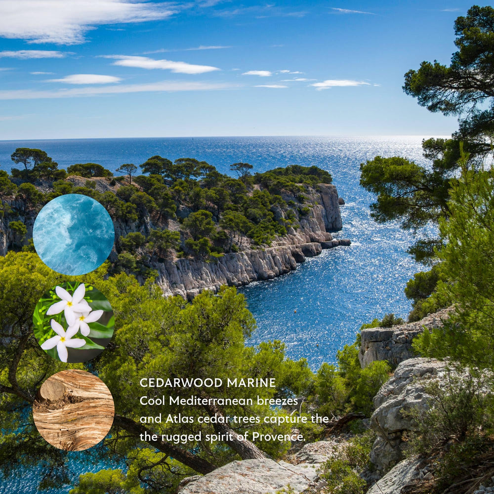Mistral Cedarwood Marine hair and body care for daily nourishment.
