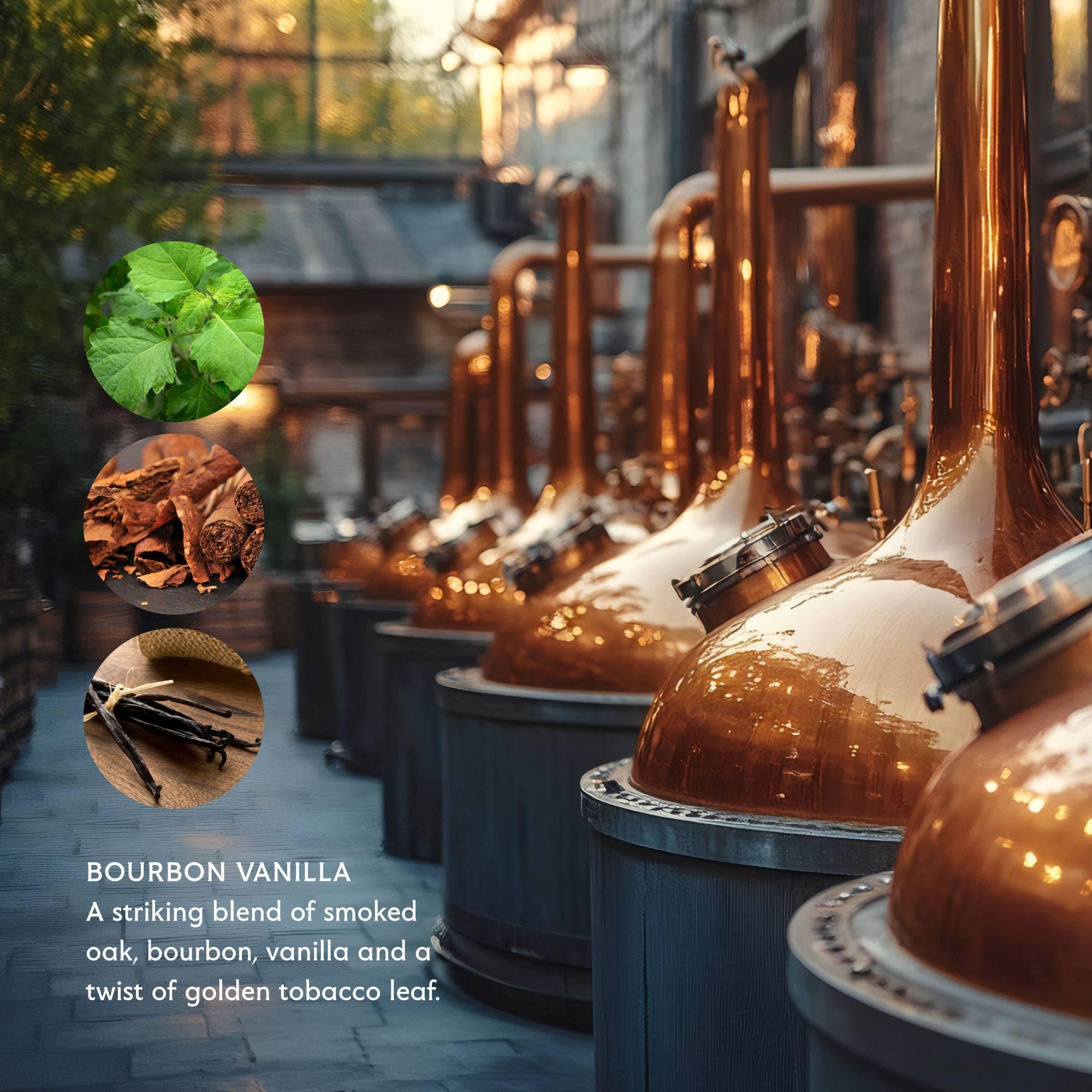 Premium Provence packaging of Mistral Bourbon Vanilla lotion.