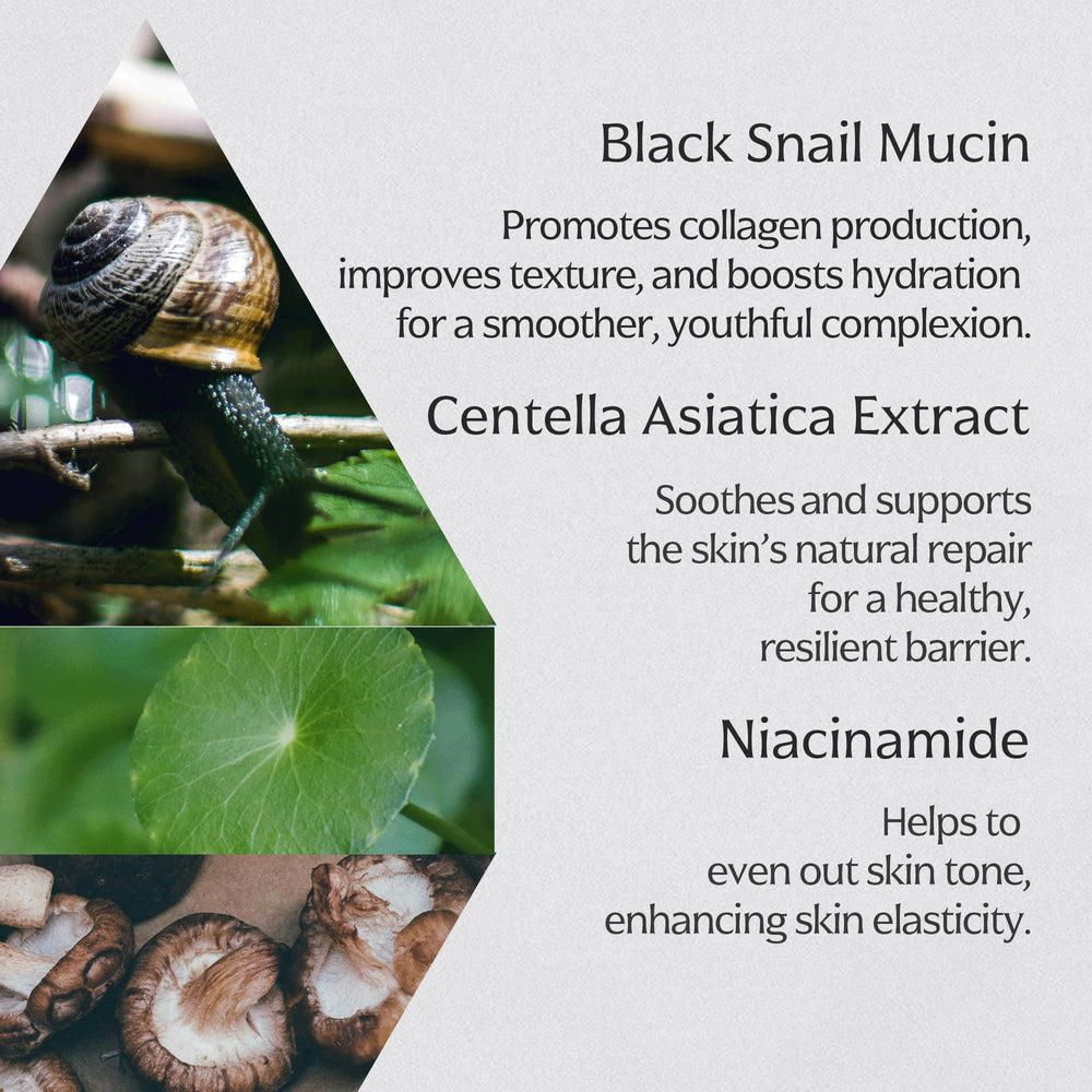 Cacao tree extract adding antioxidant benefits to the cream.