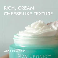 MIZON Cicaluronic Moisturizer ingredient focus Centella and Hyaluronic acids support hydration