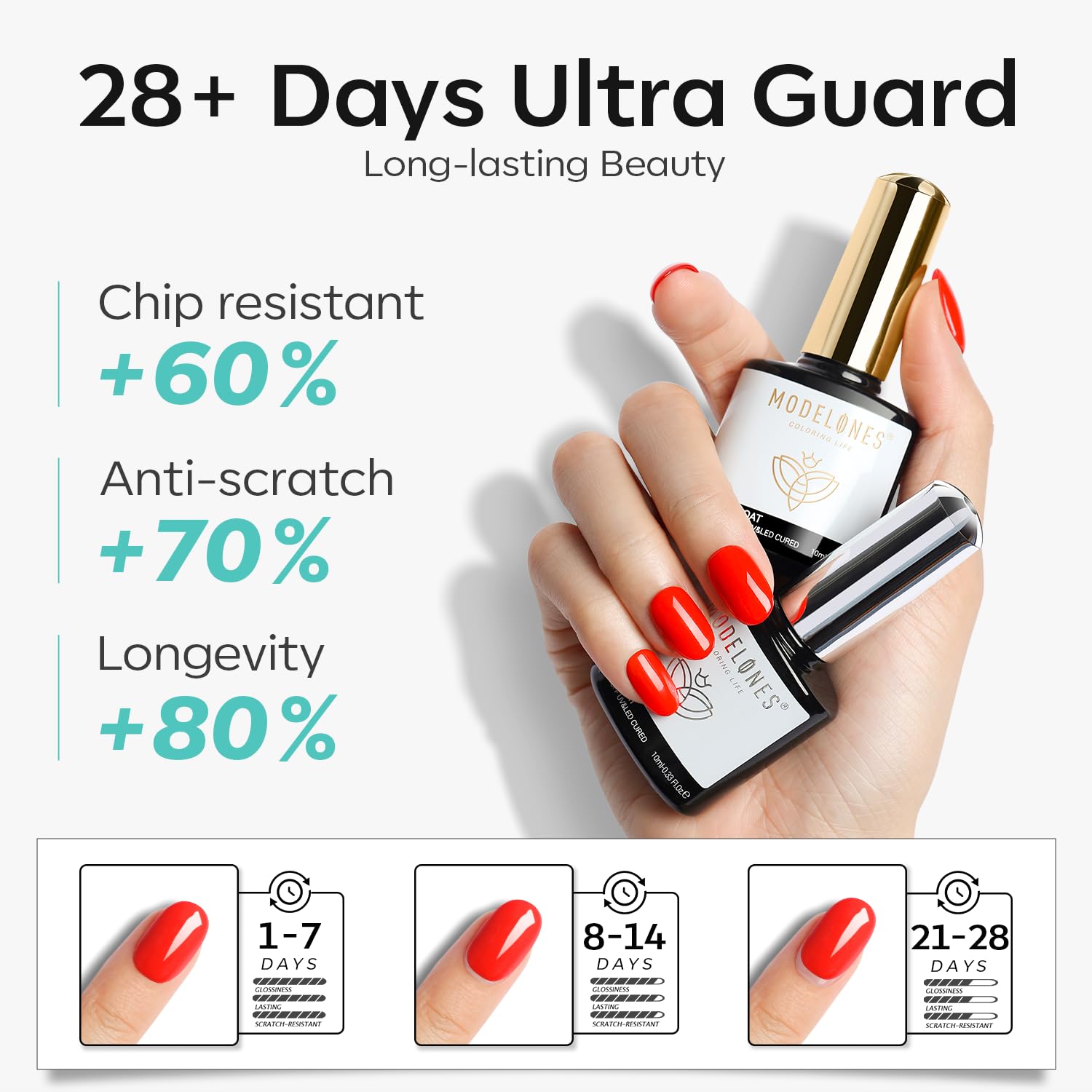 Modelones base and top coat combo enhances adhesion and prevents chips.
