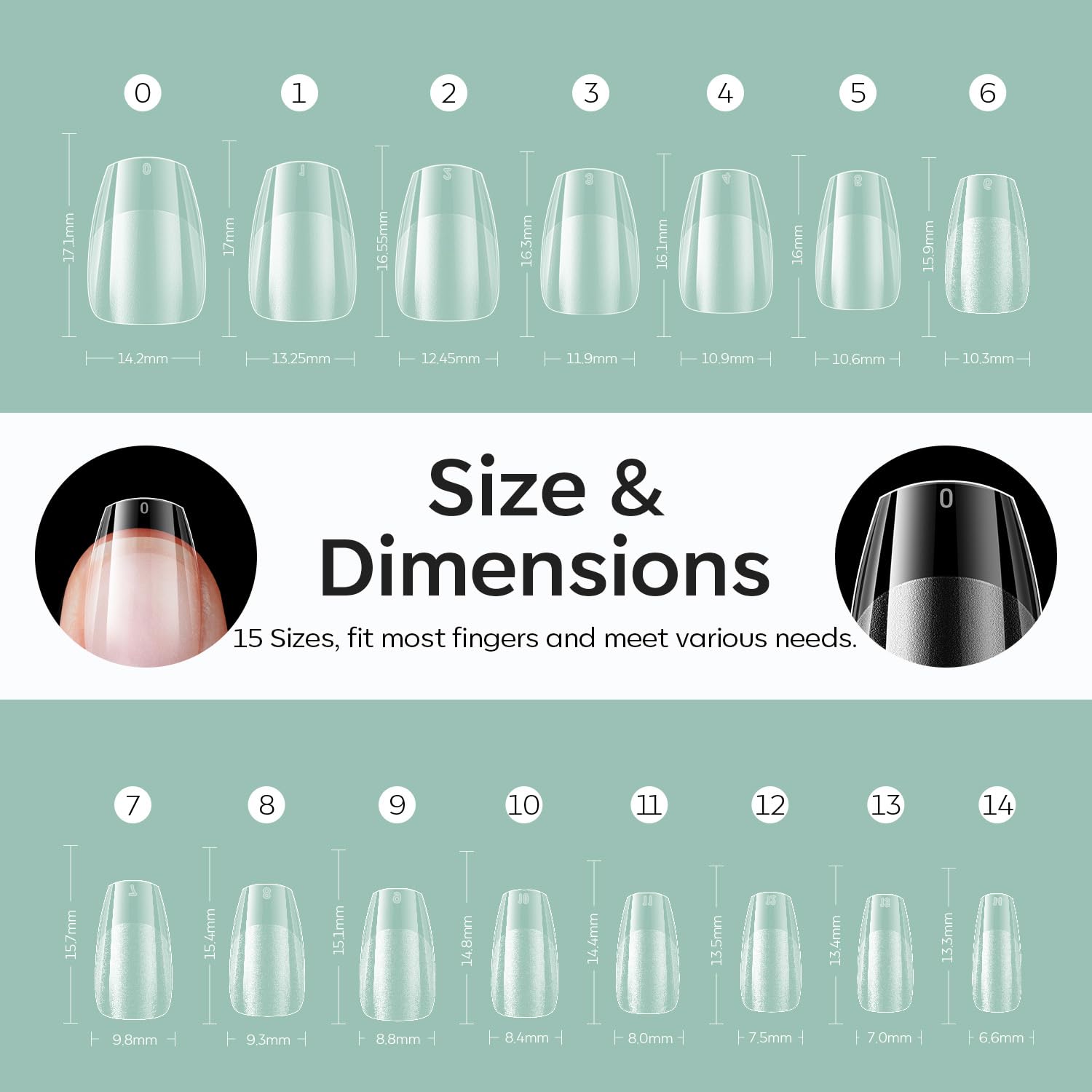 Modelones break-resistant formula supports longer wear and strength.