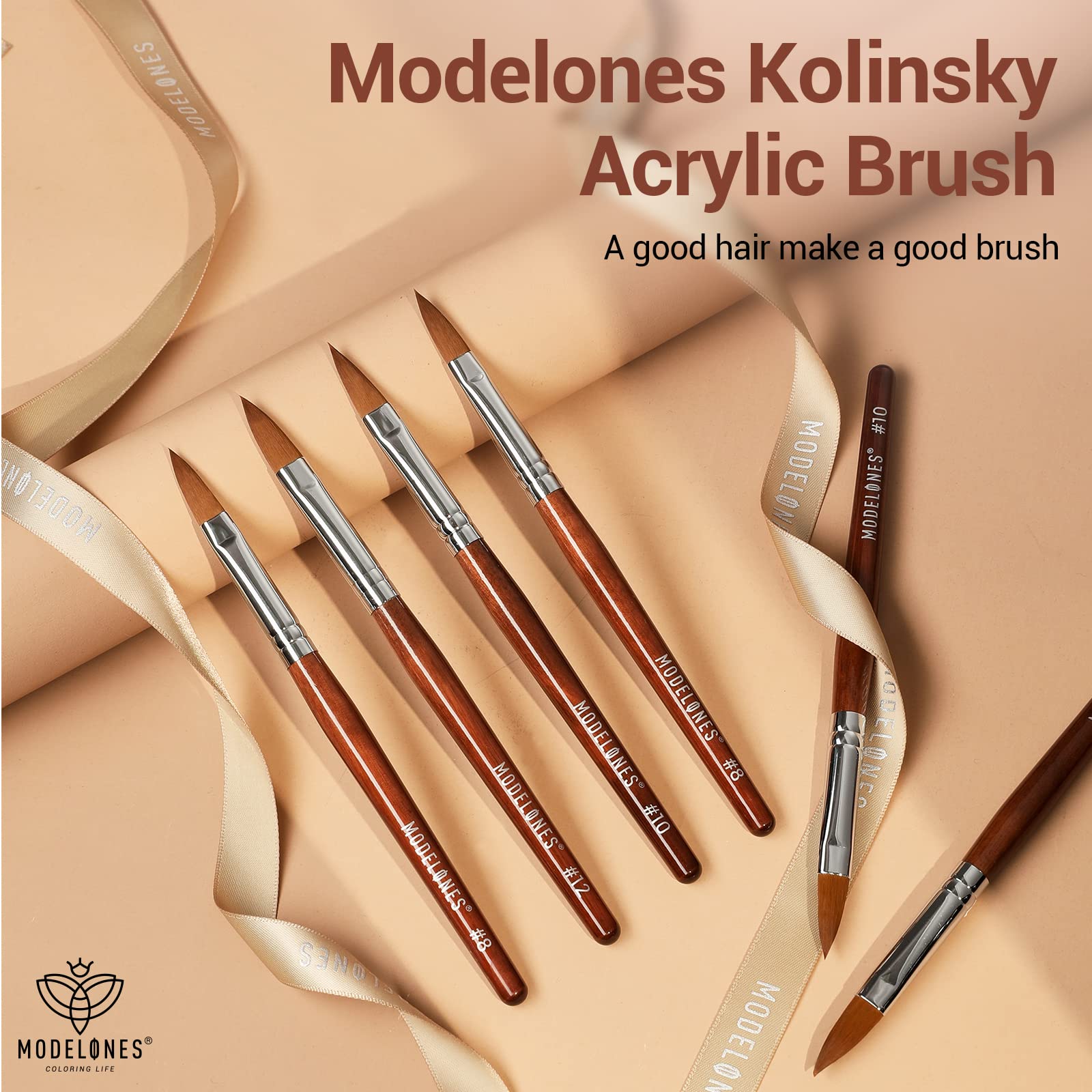 Close look at the wooden handle and bristle detail of the Modelones brush.