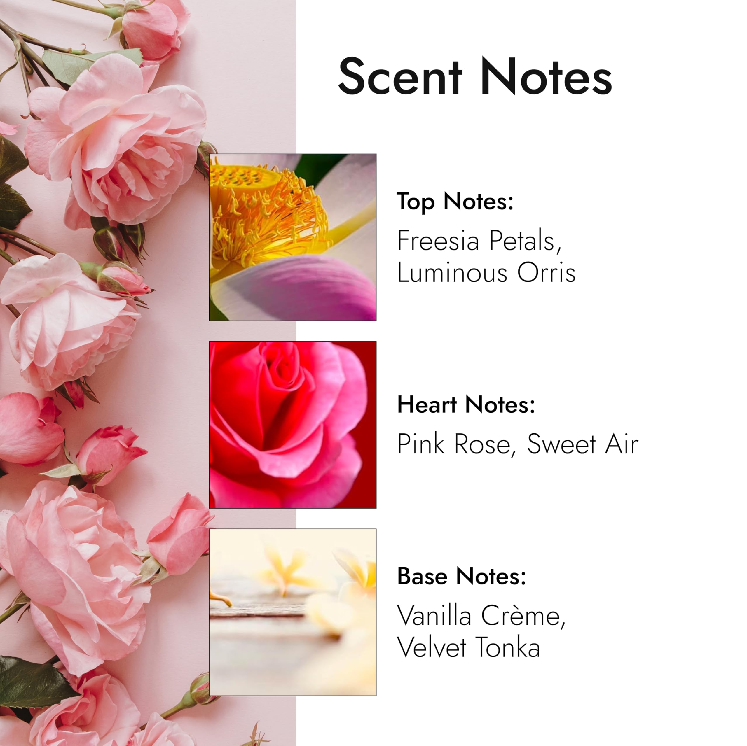 Modern Memory Atomic Flower freesia note evokes fresh, airy petals.