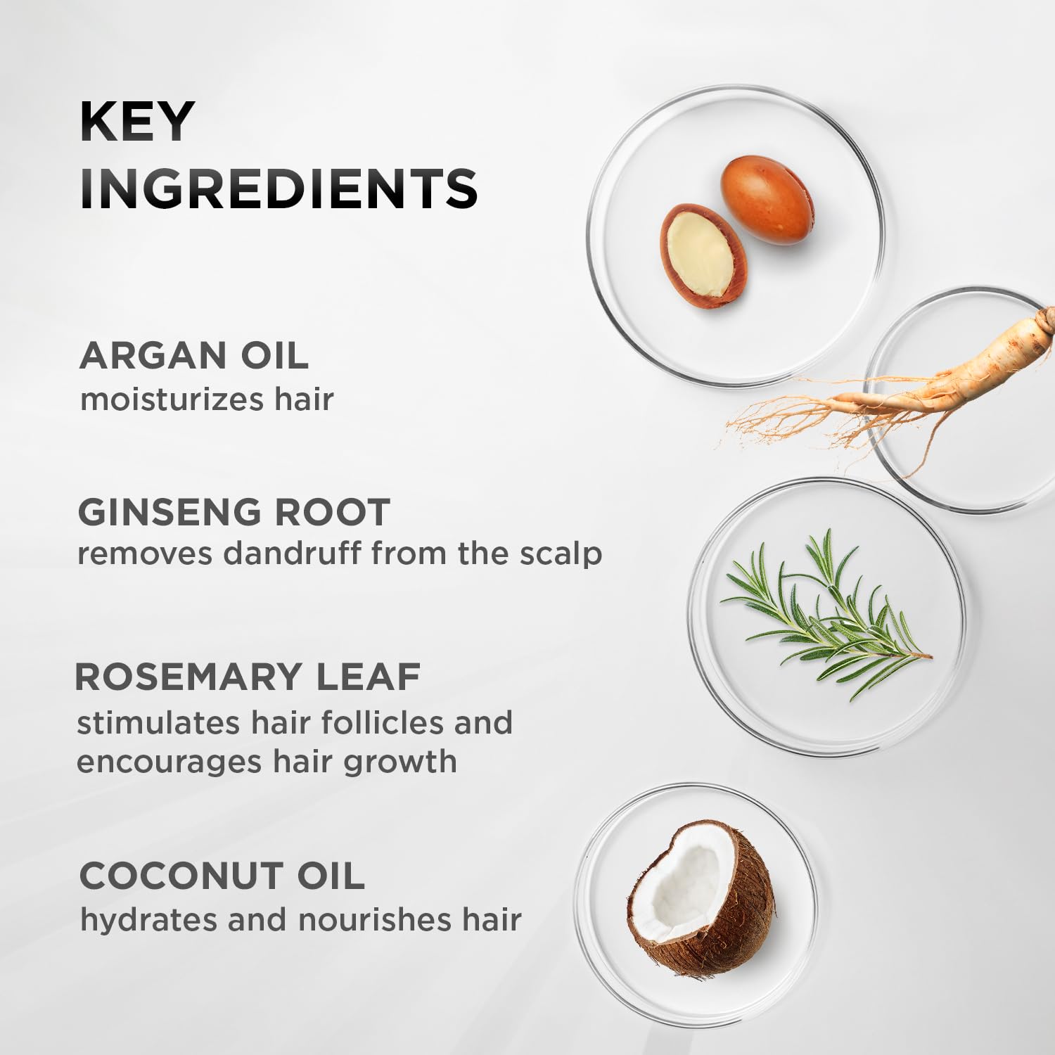 MOEHAIR conditioner ingredients with argan oil and ginseng