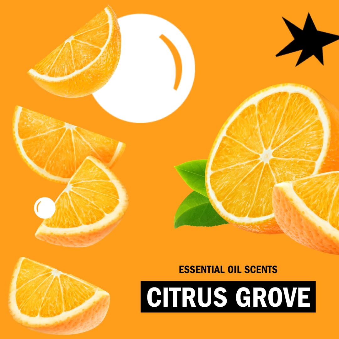 Molly’s Suds Citrus Grove hand soap in a kitchen setting for daily cleanup.