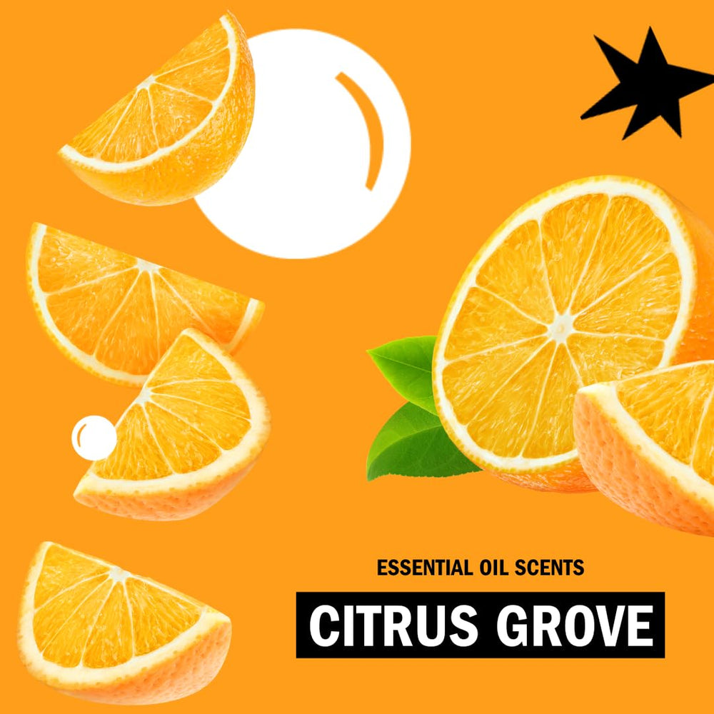 Molly’s Suds Citrus Grove hand soap in a kitchen setting for daily cleanup.
