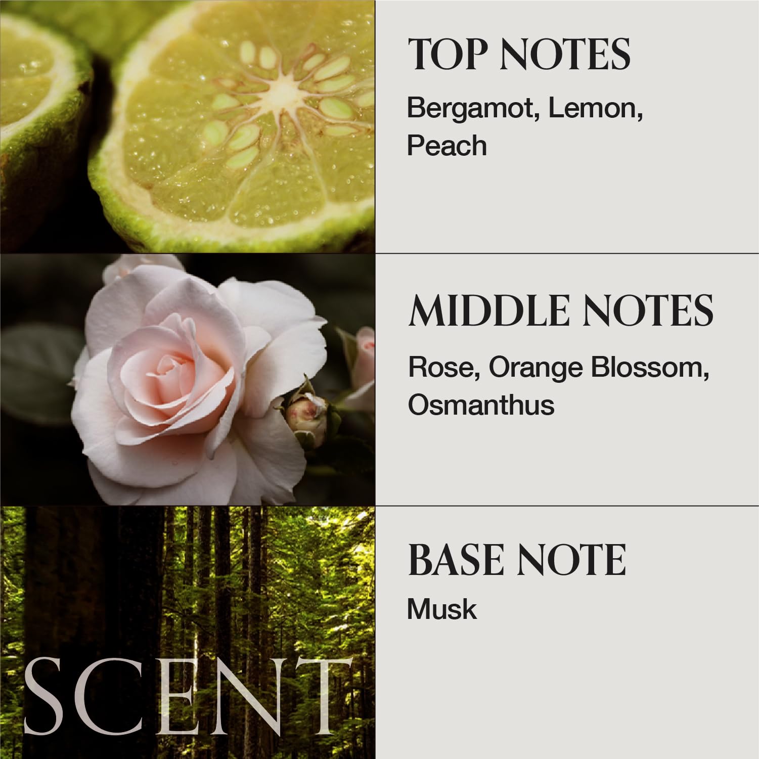 MONCLOS sustainability and clean-beauty ethos image highlighting farm-sourced ingredients