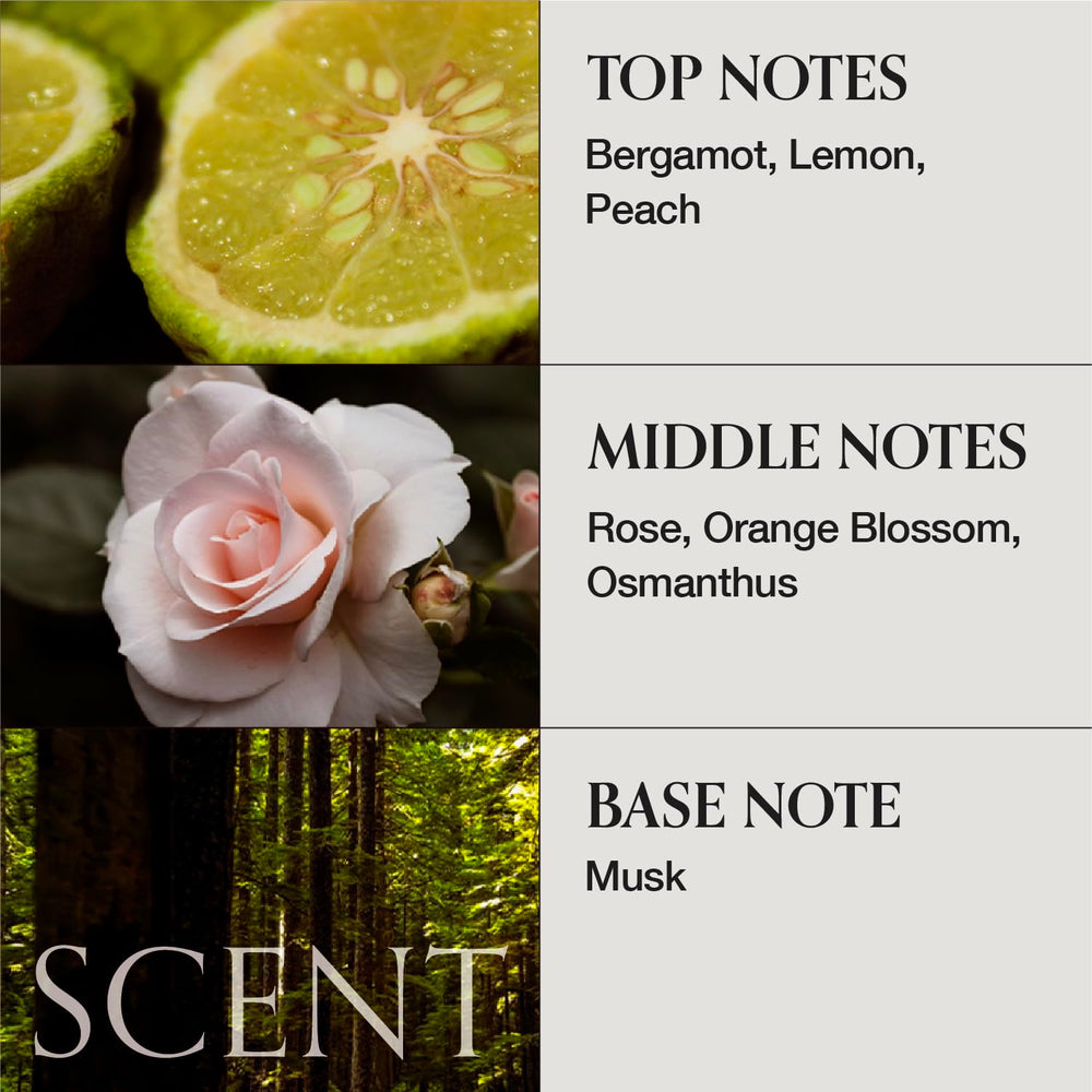 MONCLOS sustainability and clean-beauty ethos image highlighting farm-sourced ingredients