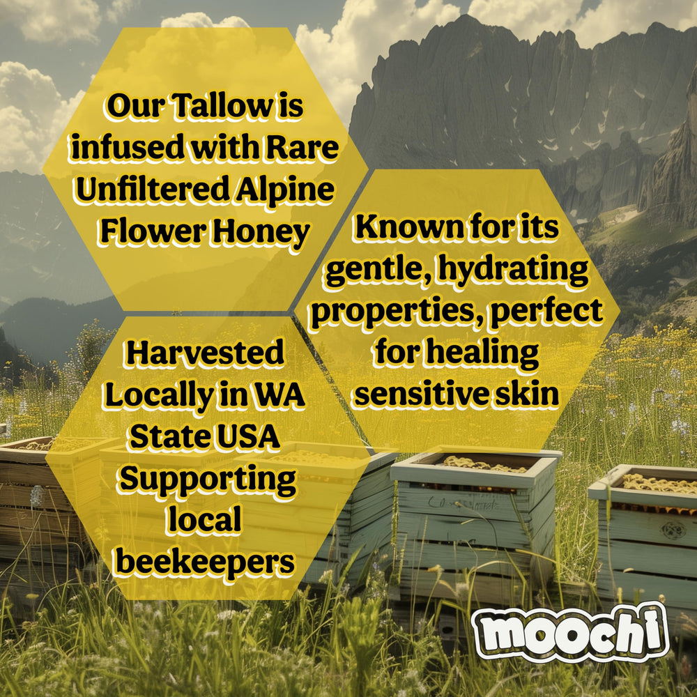 Moochi Nourished Skin Barrier Support indicates protective nourishment for healthy-looking skin.