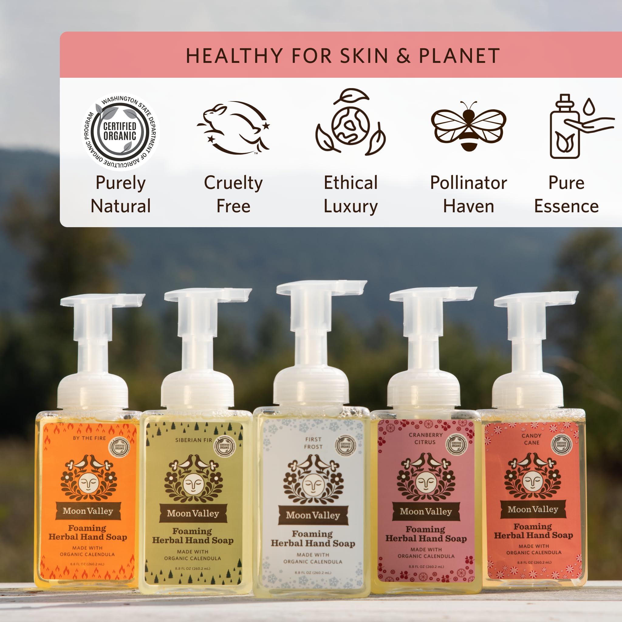 Moon Valley Organics two-pack setup demonstrates value and convenience for households.