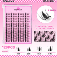 Moonkali lash cluster application tray for easy at home lash extensions