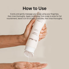 Close-up of Morethan8 ingredients with Matsutake and botanicals for scalp nourishment