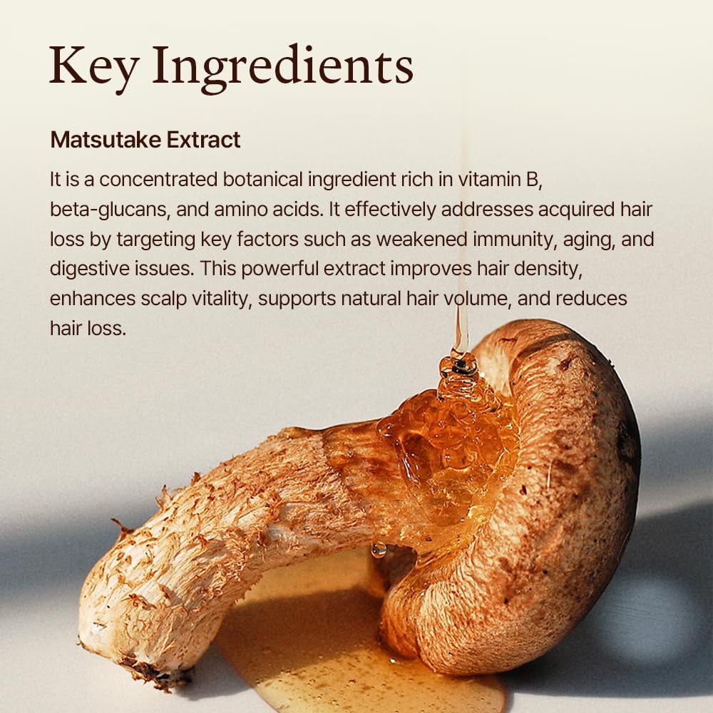 Rice protein in Morethan8 shampoo emphasizes root-to-tip nourishment