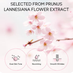 MrCuvaryas Sakura serum bottle highlights hydration and brightening potential