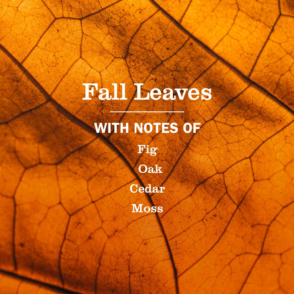 Mrs. Meyer's Clean Day Fall Leaves on a clean counter for daily use