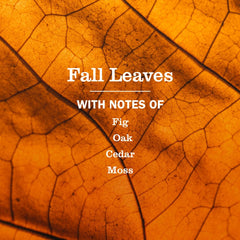 Mrs. Meyer's Clean Day Fall Leaves on a clean counter for daily use
