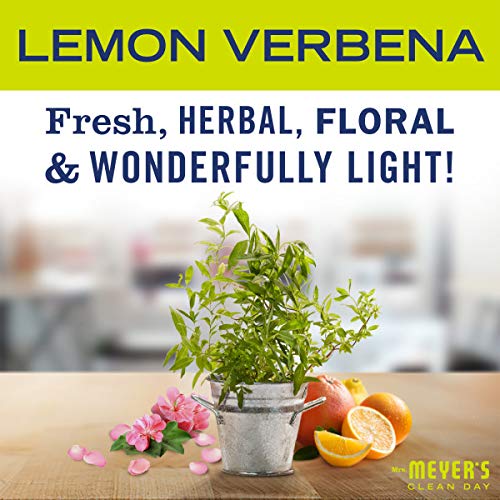 Close-up of ingredients such as aloe vera and olive oil in the formula