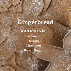 Foaming Gingerbread hand soap in action from Mrs. Meyer's bottle cleanses gently