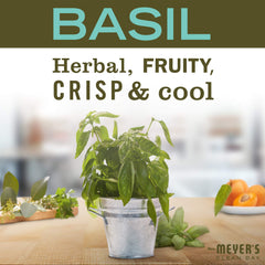 Application of Mrs. Meyer's Basil Hand Lotion for quick absorption