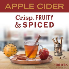 Mrs. Meyer's Iowa Pine pump provides brisk cleanse with forest-like freshness