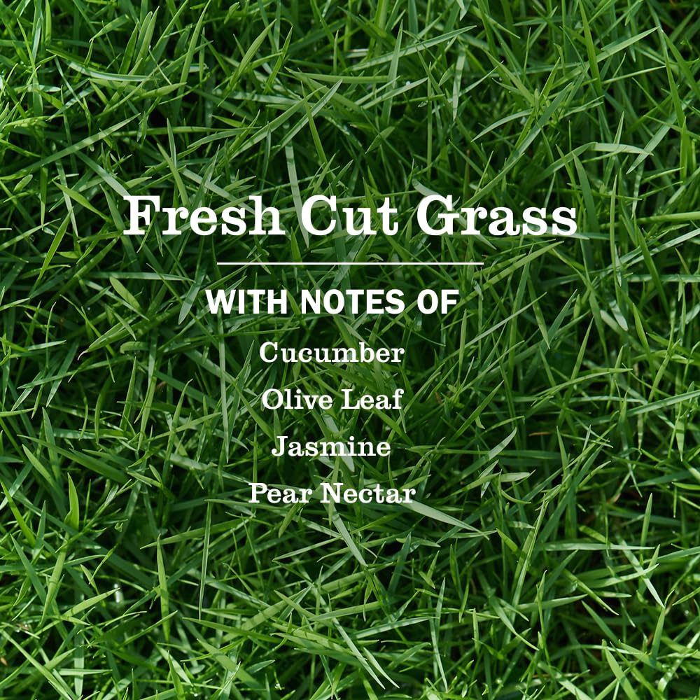 Close-up of aloe vera in Mrs. Meyer's Clean Day hand soap ingredients for gentle cleansing.