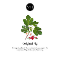 Fig fragrance note from Velvet Glove blending fig with cranberry and bergamot aroma.