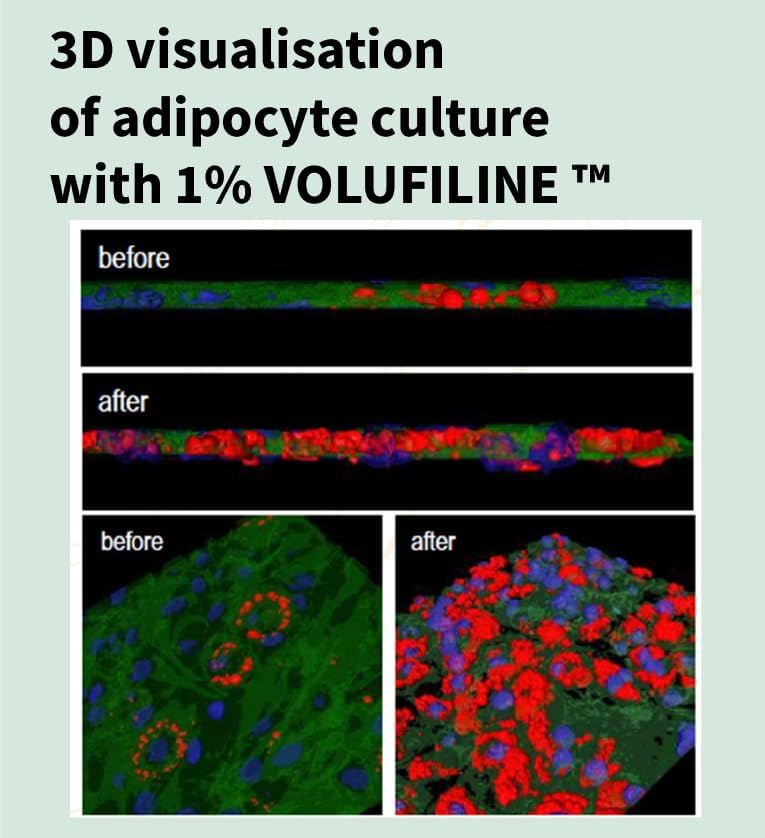 Nano Recipe Volufiline application-routine montre comment l’intégrer facilement.