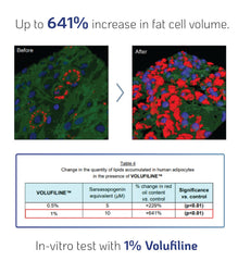 NanoRecipe Volufiline facial application on targeted areas