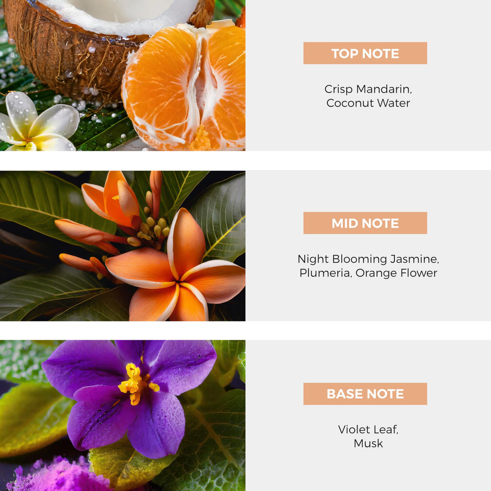 Nateeva Night Blooming Jasmine EDP bottle close-up, premium craftsmanship.