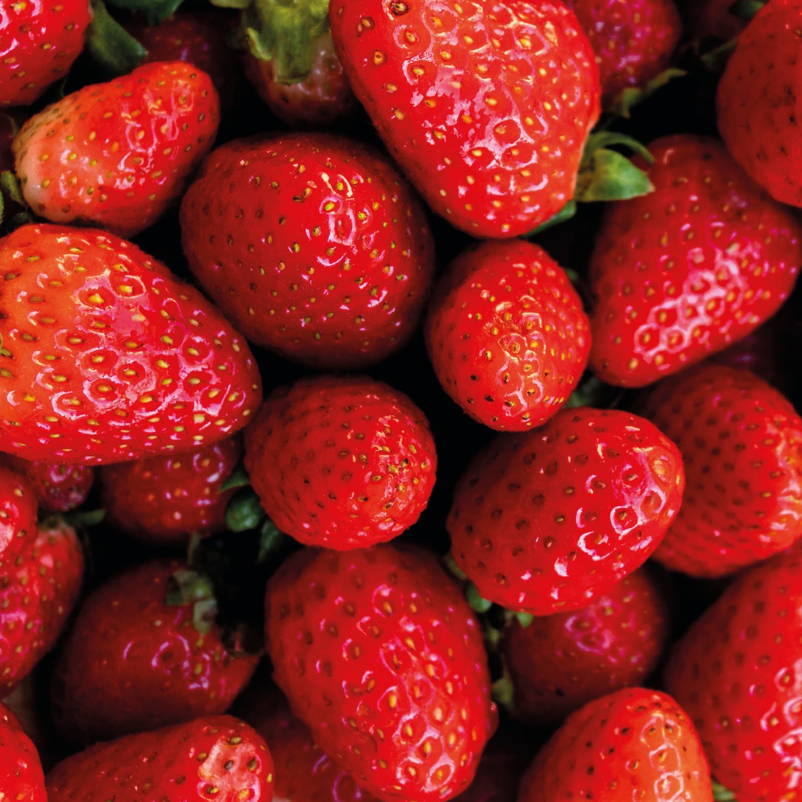 NATIVA SPA Ruby Strawberry packaging communicates premium skincare.