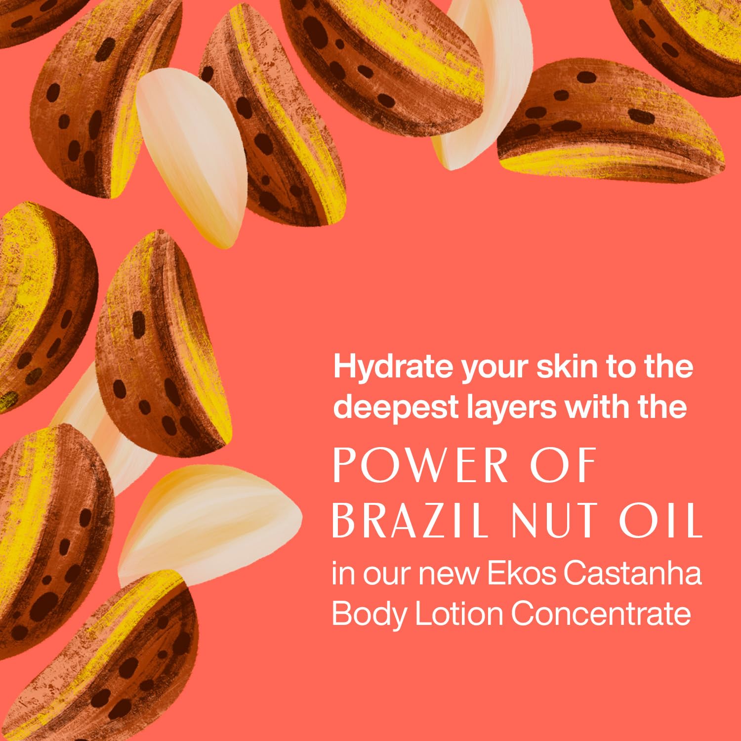 Natura Castanha lotion close-up of oil highlighting sustainable nourishment