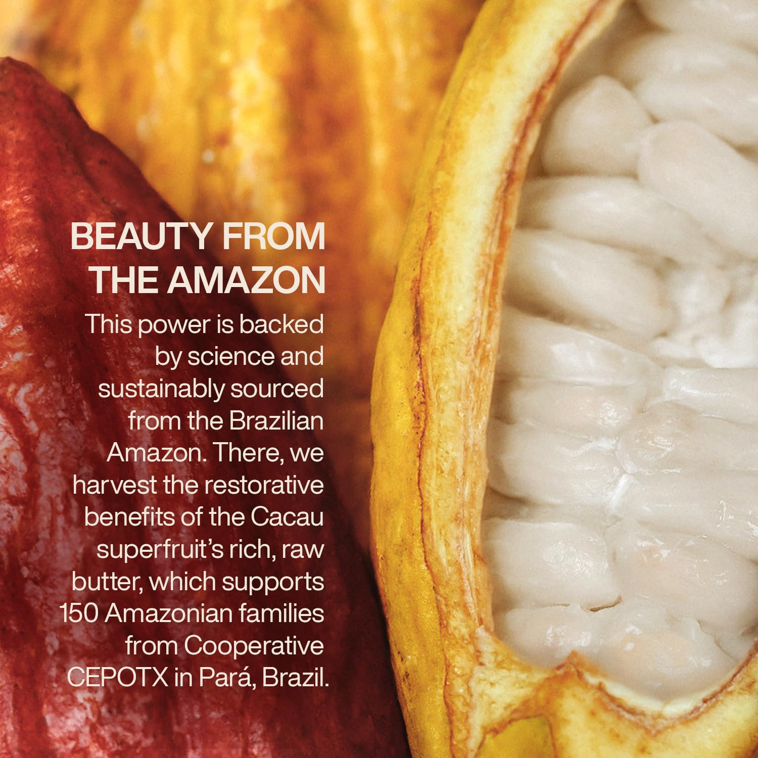 Natura Ekos Cacau cocoa scent provides a warm, subtle fragrance for hands.