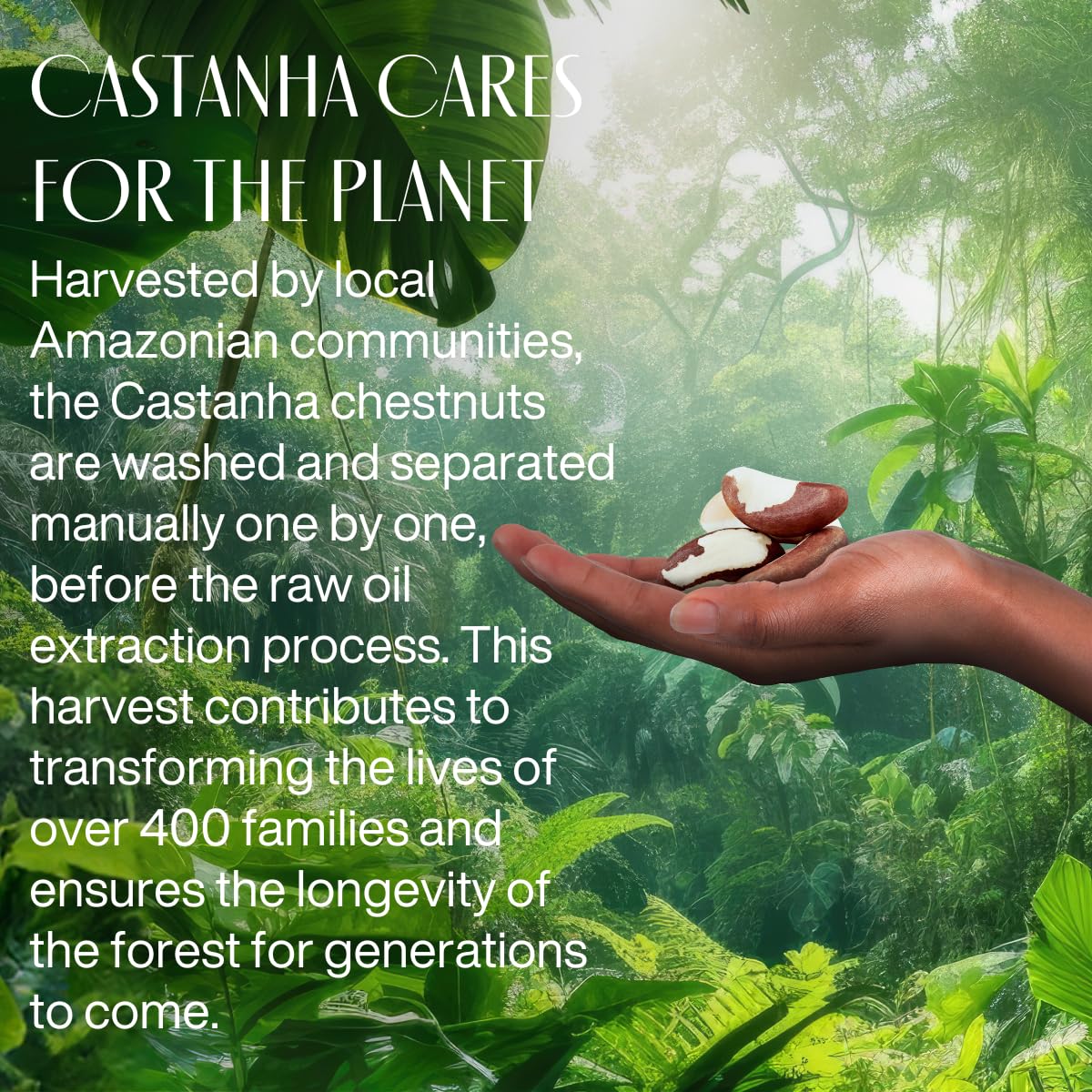 Natura Ekos Castanha Frescor cedar-sandalwood note defines warm, comforting base