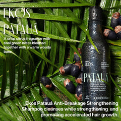 Natura Ekos Patauá Shampoo refill packaging side showing eco-friendly refill concept