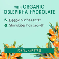 Natura Siberica Oblepikha scrub applied to a wet scalp for cleansing.