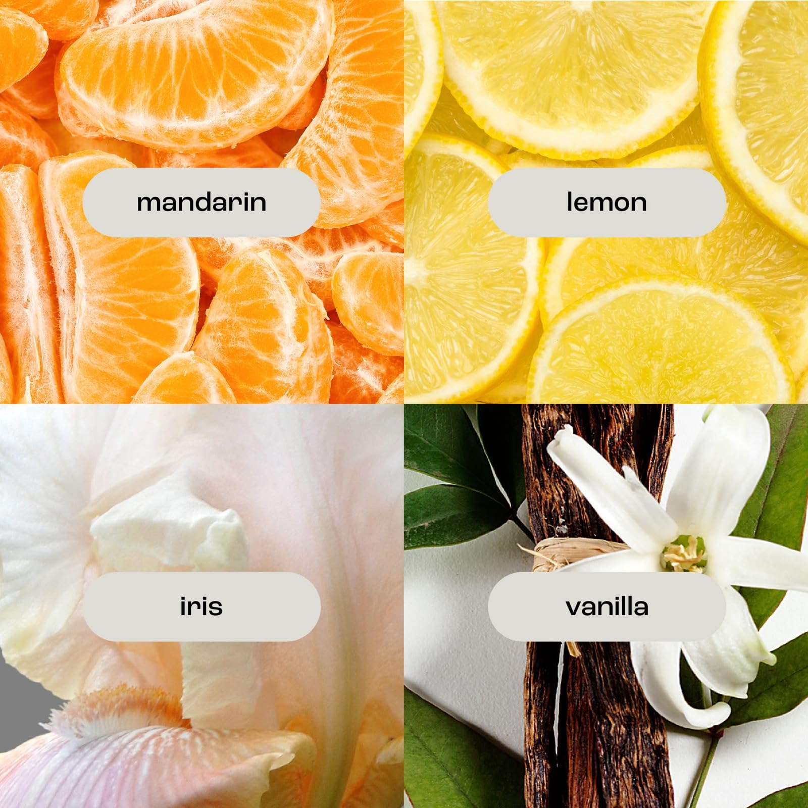 Natural Inspirations fragrance scene with coconut, amber, and vanilla notes