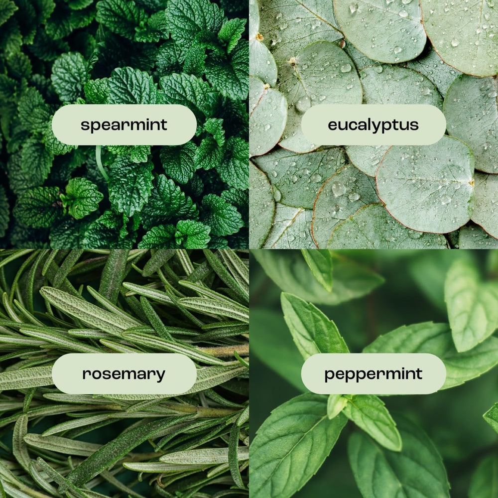 Natural Inspirations lotion ingredients include essential oils for daily nourishment.