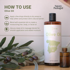 Sun-drenched olive grove near Barcelona used for Nature Packaged olive oil.