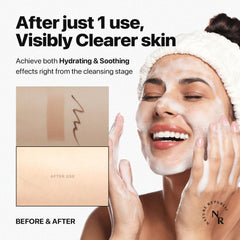 Illustration of aloe vera leaf extract used in Nature Republic cleanser