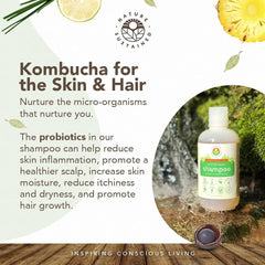 Soapberry-based lather from Nature Sustained for a gentle, chemical-free cleanse.