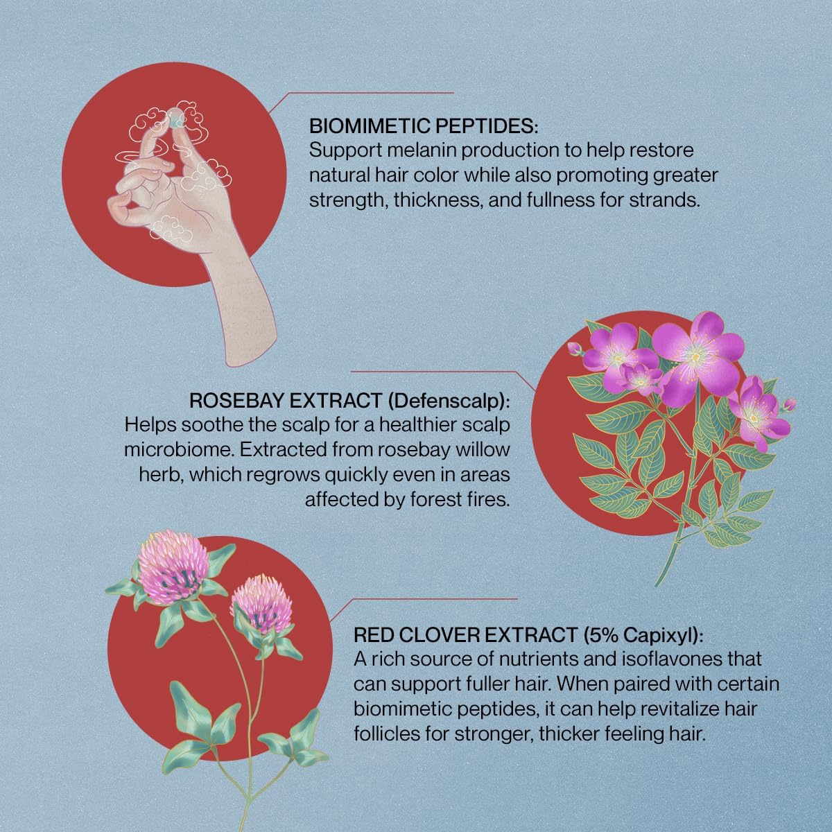 NatureLab.TOKYO SAISEI ingredients highlight red clover and bamboo extract for scalp care
