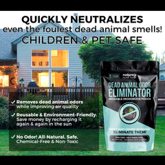 Nature's Pure Edge attic placement demonstrating odor pouch effectiveness